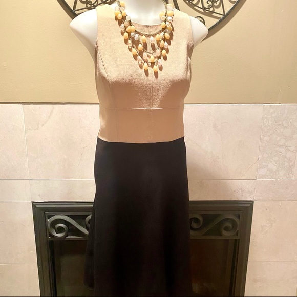 Ann Taylor Dresses & Skirts - Ann Taylor Women’s Two Tone Sleeveless Dress SZ 8